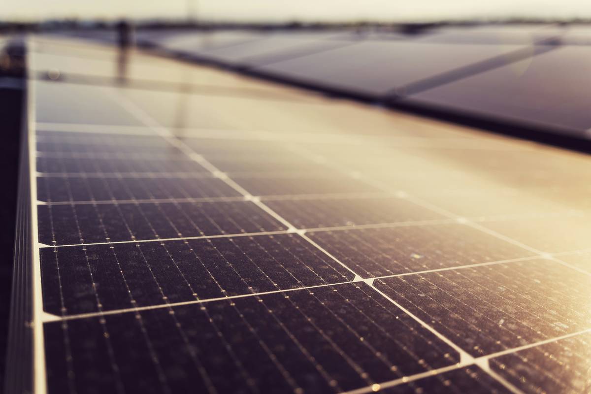 octopus energy solar panels covered in dust and bird droppings on a residential roof